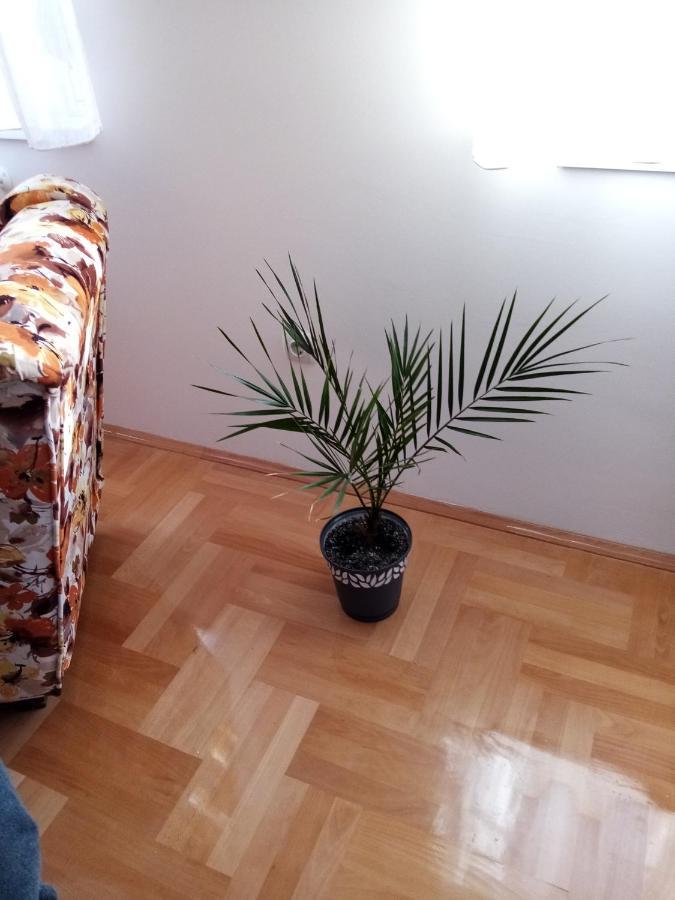 Apartman Maca Πίροτ Εξωτερικό φωτογραφία